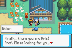 Pokemon GS Chronicles