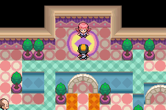 Pokemon GS Chronicles