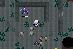 Pokemon GS Chronicles