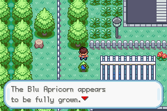 Pokemon Kairos GBA ROM
