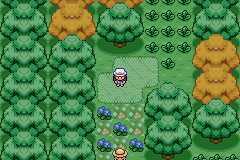 Pokemon Heiwa 