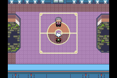 Pokemon Tim
