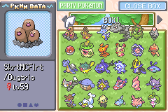 Pokemon Tim
