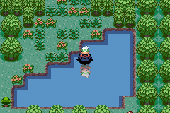 Pokemon Tim